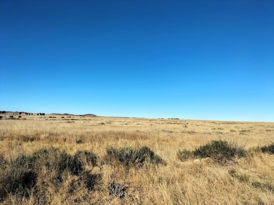 4 Bedroom Property for Sale in Edenburg Rural Free State
